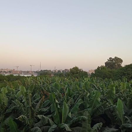 Tomorrow Land Villa Luxor Buitenkant foto